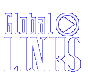 GLOBAL_LINKS